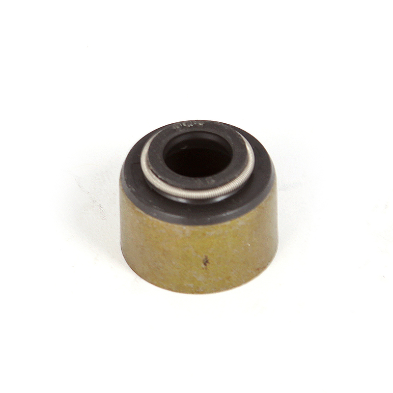 Engine Valve Guide Seal